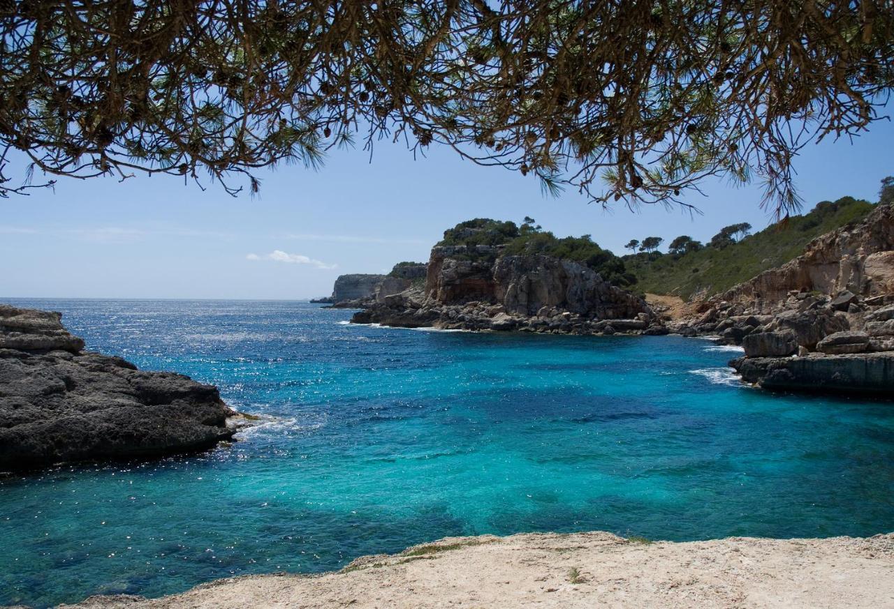 Finca Tiana Ses Salines  Bagian luar foto