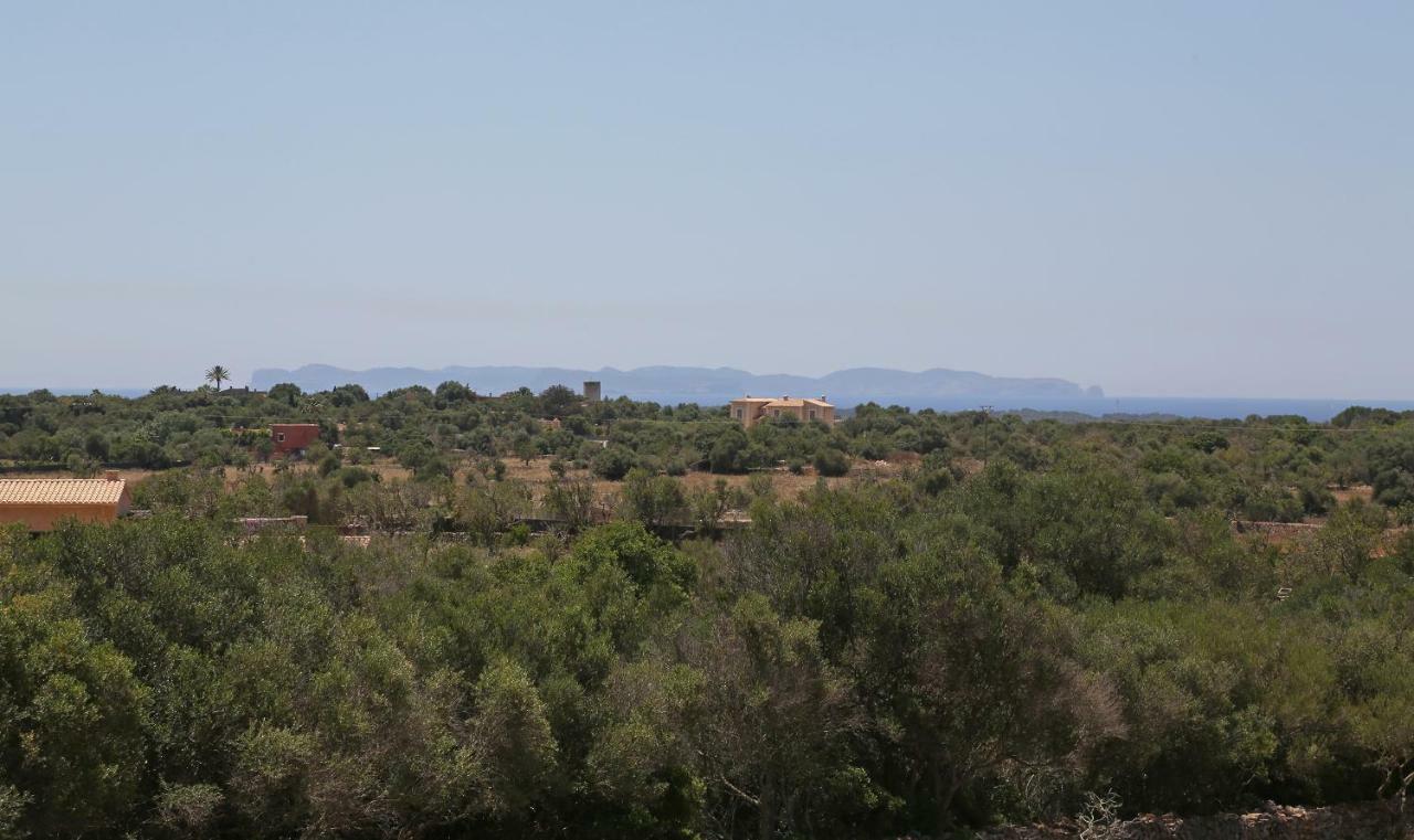 Finca Tiana Ses Salines  Bagian luar foto